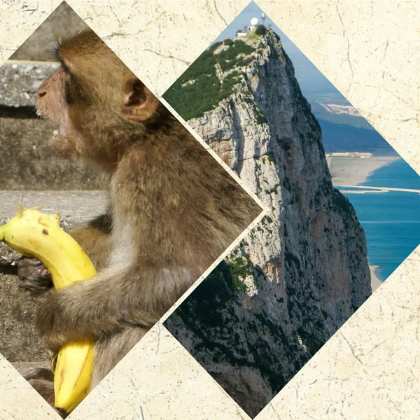 Collage of Gibraltar The Rock skyline at night twilight panorama — Stock Photo, Image