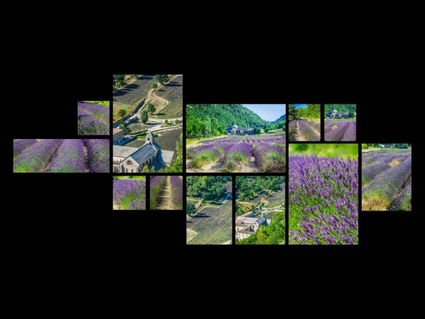 Collage de Abadía de Senanque y filas florecientes flores de lavanda —  Fotos de Stock