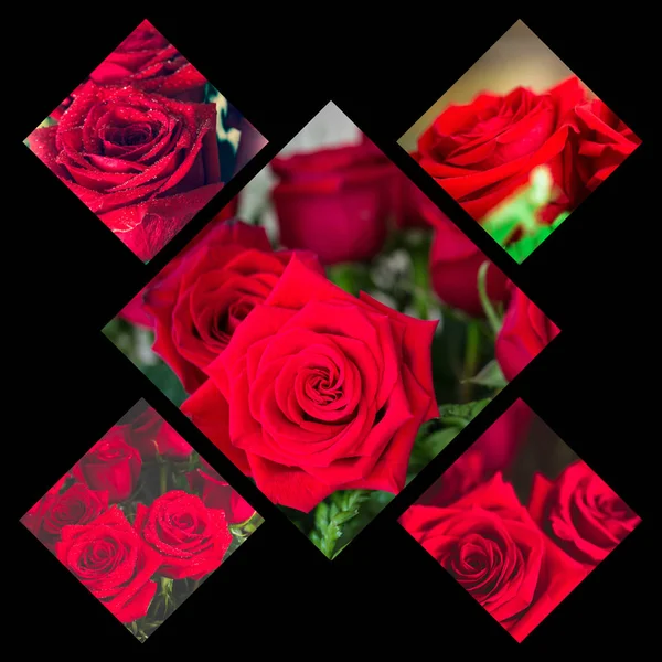 Collage di rosa rossa primo piano con goccia . — Foto Stock