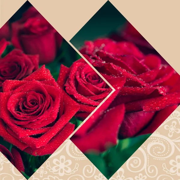 ドロップで赤いバラのクローズ アップのコラージュ. — ストック写真