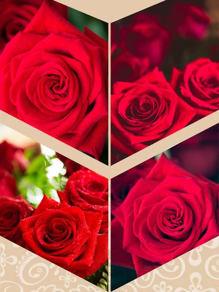 Koláž z červené růže closeup s kapkou. — Stock fotografie