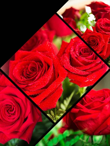 Коллаж красной розы крупным планом с каплей . — стоковое фото