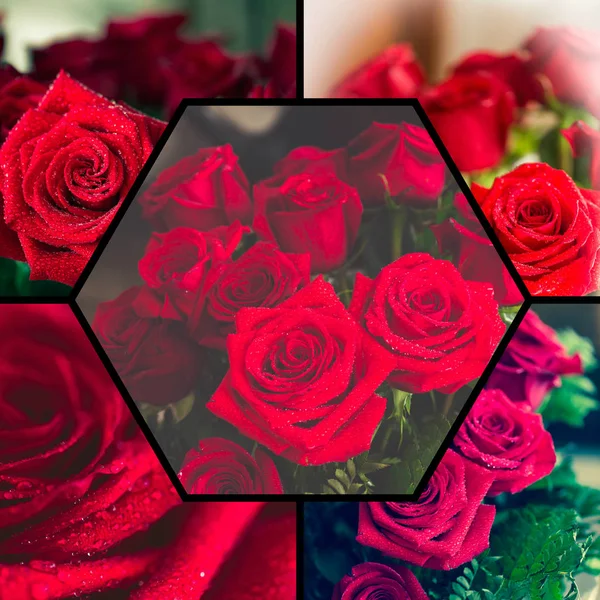 Collage di rosa rossa primo piano con goccia . — Foto Stock