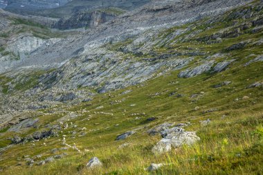 Görünüm Ordesa Vadisi ve Monte Perdido massif, Pyrenees, İspanya.