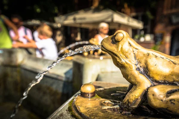 Brons förgyllda groda skulptur hälla vatten, detalj av en fontän — Stockfoto