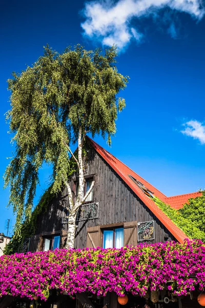 Хель, типичный дом и дерево — стоковое фото