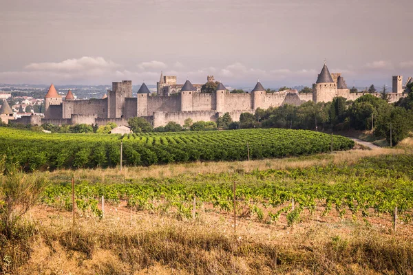 Viñedos que crecen fuera de la fortaleza medieval de Carcasona i — Foto de Stock