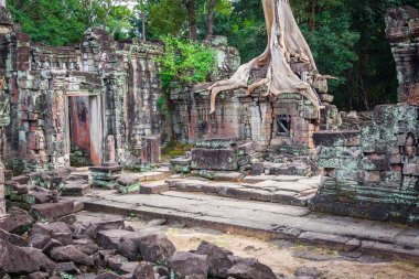 Preah Han Tapınağı, angkor alan, siem reap, Kamboçya