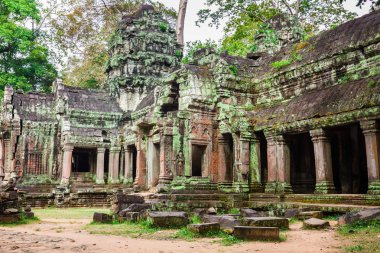 Ta Prohm ya da Rajavihara Tapınağı'nda Angkor, Siem R antik kalıntılar