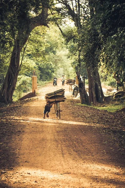 Ciclist pe Dirt Road în junglă. Cambodgia — Fotografie, imagine de stoc