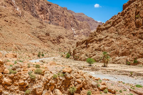 Todgha 峡谷，峡谷在高阿特拉斯山脉在摩洛哥，n — 图库照片