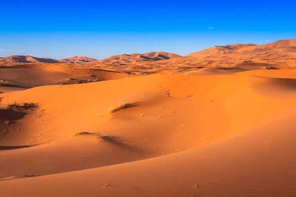 Woestijn Duin op Erg Chebbi in de buurt van Merzouga in Marokko. — Stockfoto