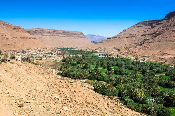 Amplia vista de campos cultivados y palmeras en Errachidia Marruecos N — Foto de Stock