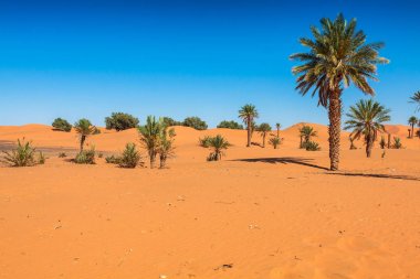 Kum tepeleri Erg African Sahara Çölü, Fas