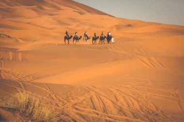 kameel caravan gaan door de duinen in de Saharawoestijn,