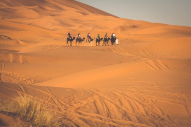 Camel caravan going through the sand dunes in the Sahara Desert, clipart