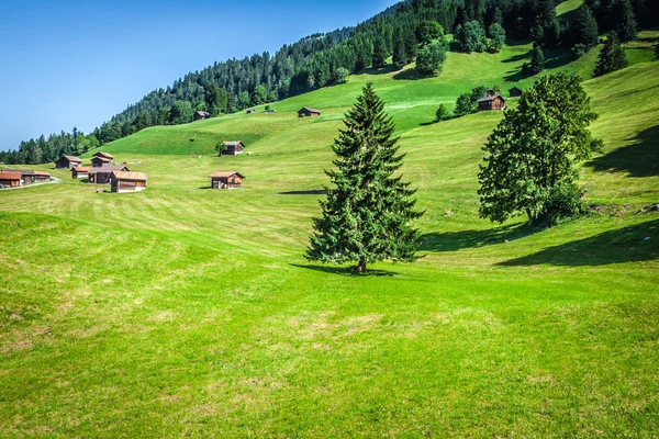 Wooden houses in Malbun in Lichtenstein, Europe — Stock Photo, Image