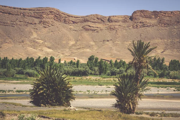 Breed uitzicht op de canyon en akkers en palmen in Errachidi — Stockfoto