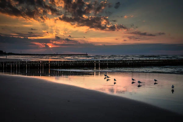 Coucher de soleil sur la plage avec un brise-lames en bois à Leba, Mer Baltique, Po — Photo