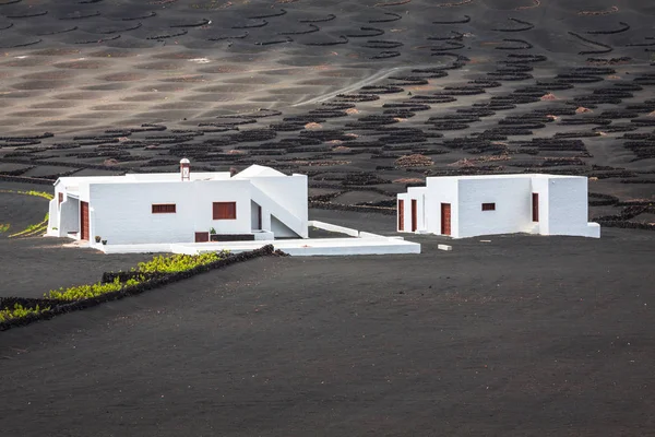 ラ ヘリア ランサローテ島のワイン農場 — ストック写真