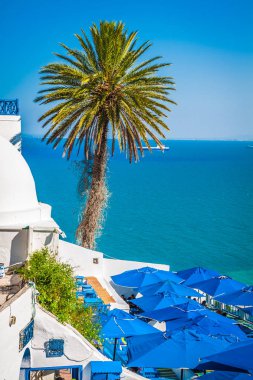 Café sidi bou güzel manzaralı harbour dedi