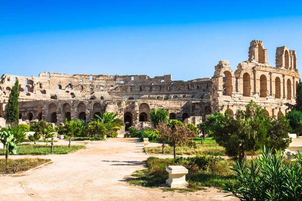 Tunus. El Jem (eski suçlu). En büyük colosse kalıntıları — Stok fotoğraf