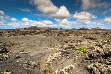 Timanfaya milli parkta Lanzarote, Kanarya Adaları, İspanya