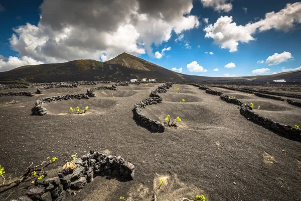 Adegas em La Geria, Lanzarote, Ilhas Canárias, Espanha . — Fotografia de Stock