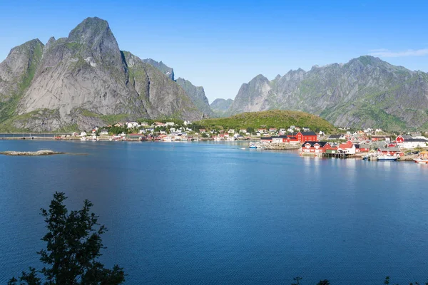 Oraș pitoresc de pescuit Reine de fiord pe insula Lofoten — Fotografie, imagine de stoc