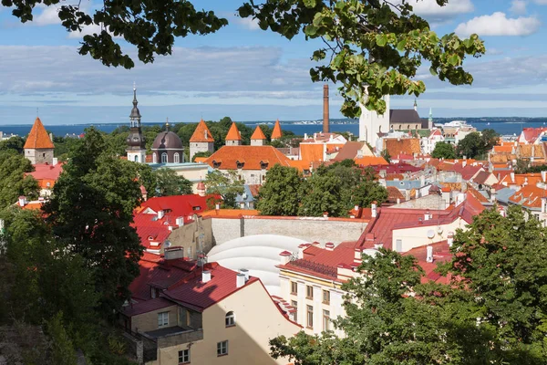 Вид на старый город (Таллинн, Эстония) ) — стоковое фото