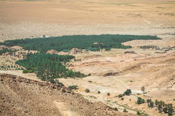 Oásis de montanha Tamerza, na Tunísia, perto da fronteira com a Argélia . — Fotografia de Stock