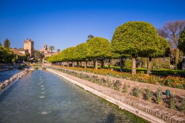 bahçeler de alcazar de los reyes cristianos Cordoba, İspanya