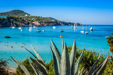 Cala tarida ibiza Plajı san Jose Balear Adaları