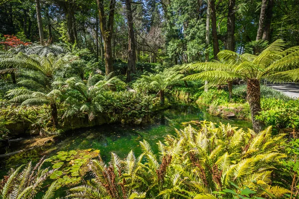 Sintra, Portekiz'de bulunan cennet Bahçe — Stok fotoğraf