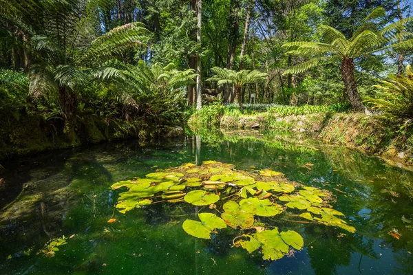 Portekiz, Sintra Monserrate sarayın Bahçe — Stok fotoğraf