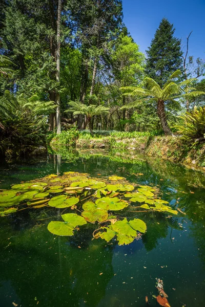 Rajské zahradě nachází Sintra, Portugalsko — Stock fotografie