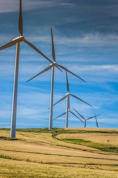 Windmills Electric Power Production — Stock Photo, Image