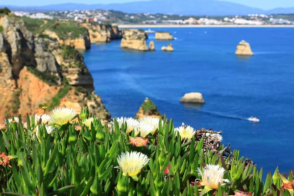 Praia Marinha Piękny Plaża Marinha Algarve Portugalia — Zdjęcie stockowe