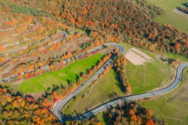 Dağ Ormanı Yolu 'nun güzel hava manzarası. Hava görünümü 