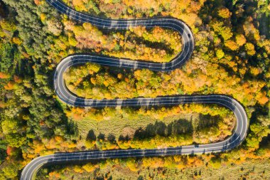 Dağ Ormanı Yolu 'nun güzel hava manzarası. Hava görünümü 