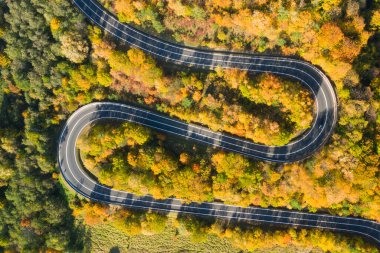 Dağ Ormanı Yolu 'nun güzel hava manzarası. Hava görünümü 