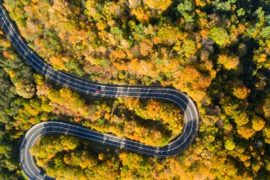 Dağ Ormanı Yolu 'nun güzel hava manzarası. Hava görünümü 