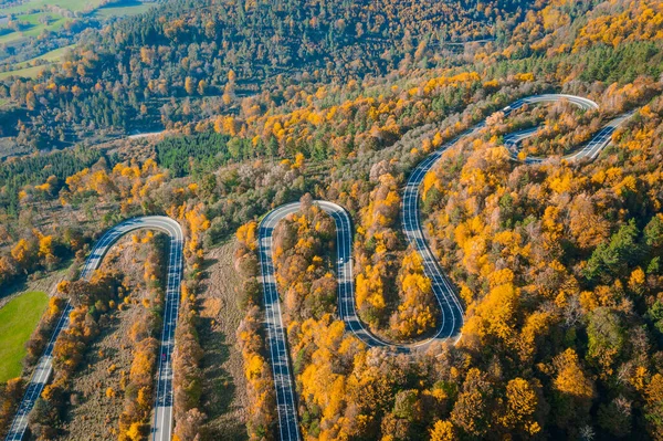 Осенняя извилистая дорога в лесу — стоковое фото