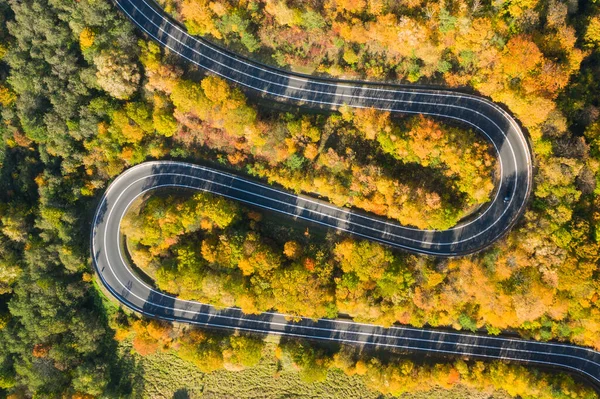 Beau paysage aérien de route forestière de montagne. Vue aérienne — Photo