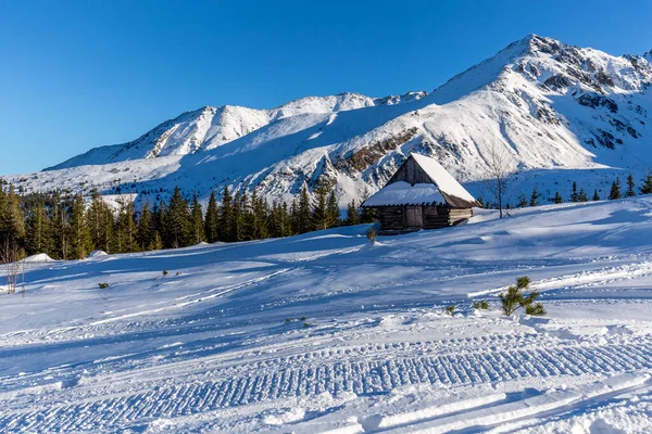 Winterlandschaft von hala gasienicowa (valey gasienicowa) in der Tatra — Stockfoto