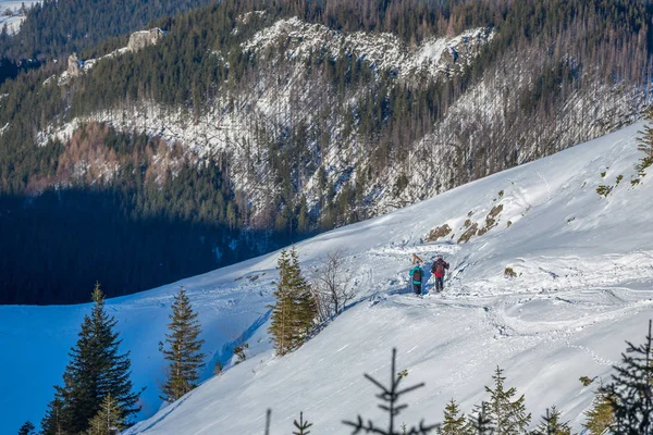 Alpinist on route in West Tatra Mountains — Stok fotoğraf