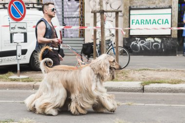 Milano Moda Haftası sırasında köpekli adam