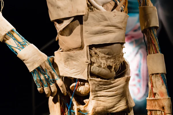 Plastinated human body on display