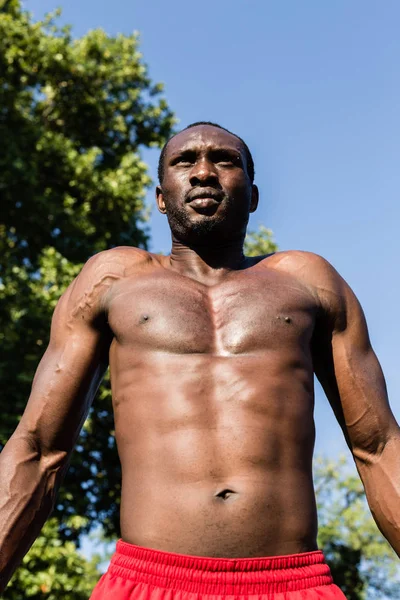 Atletico uomo nero in posa in un parco cittadino — Foto Stock