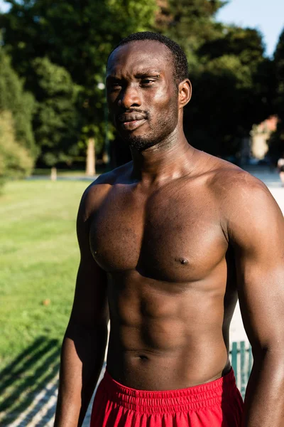 Athletic black man posing in a city park — Stock Photo, Image
